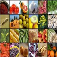 محصولات باغی و کشاورزی